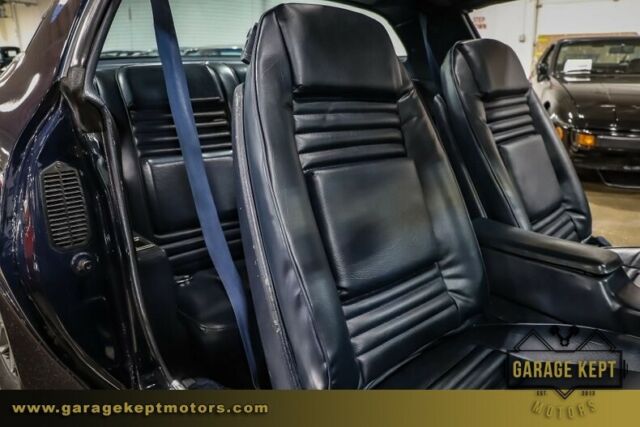 1981 Pontiac Firebird Trans Am - photo 3