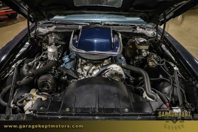 1981 Pontiac Firebird Trans Am - photo 5