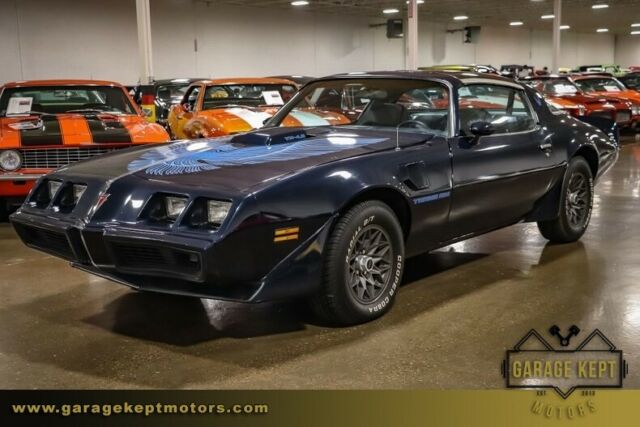 1981 Pontiac Firebird Trans Am - photo 7