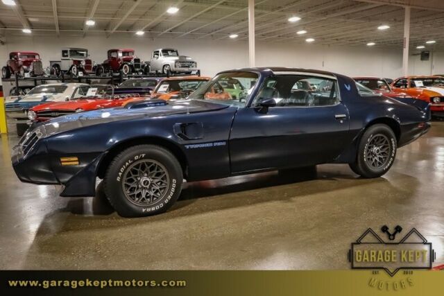 1981 Pontiac Firebird Trans Am - photo 9