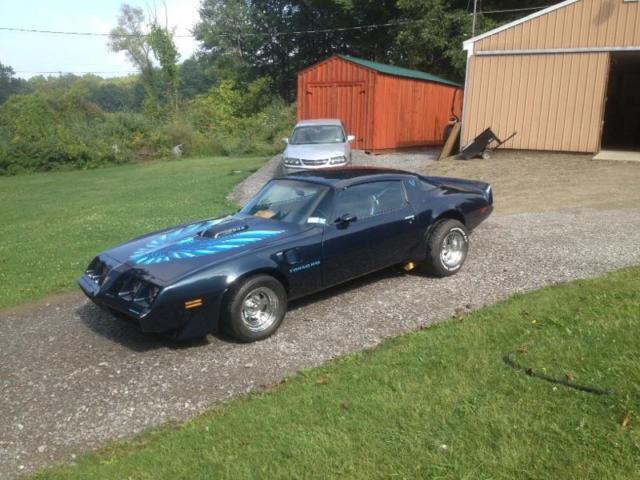 1981 Pontiac Firebird - photo 2