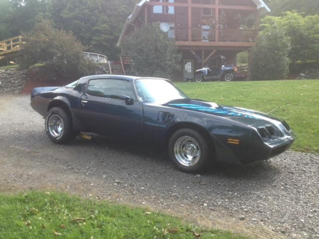 1981 Pontiac Firebird - photo 3