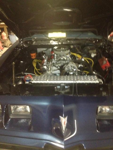 1981 Pontiac Firebird - photo 8