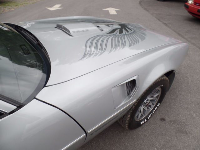 1981 Pontiac Firebird Trans Am - photo 12
