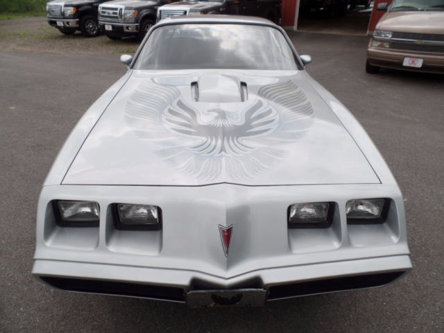 1981 Pontiac Firebird Trans Am - photo 2