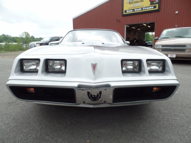 1981 Pontiac Firebird Trans Am - photo 3