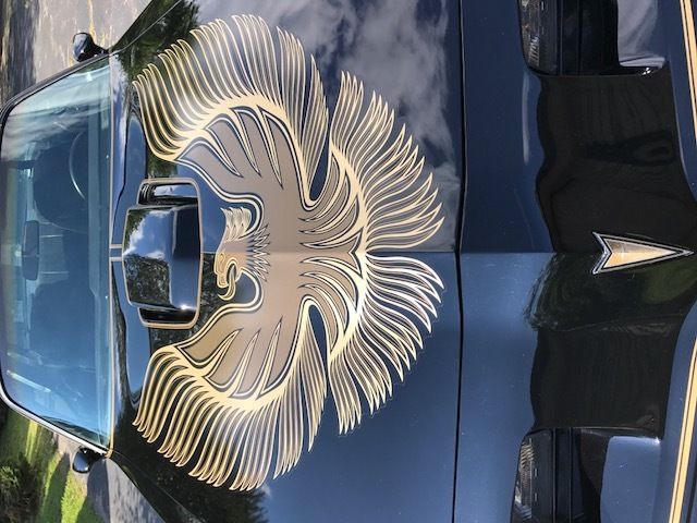 1981 Pontiac Trans Am SE