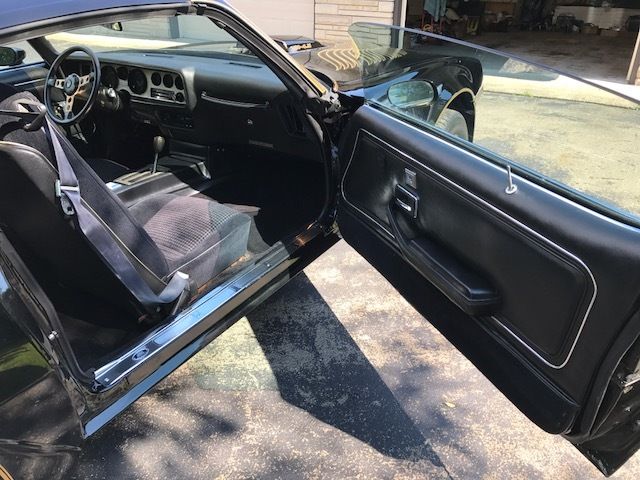 1981 Pontiac Trans Am SE - photo 10