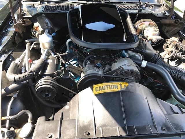 1981 Pontiac Trans Am SE - photo 13