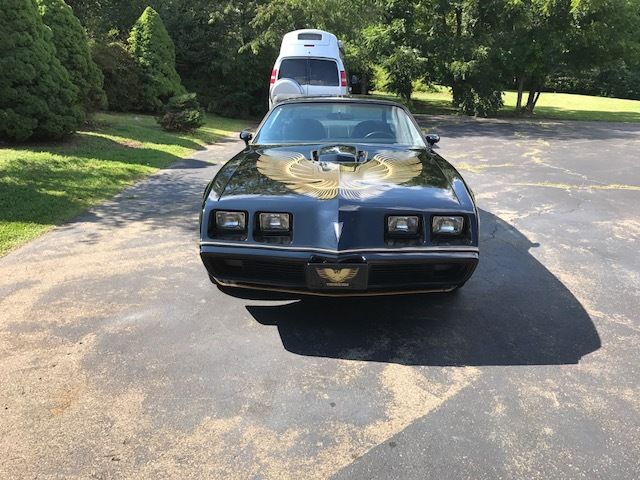 1981 Pontiac Trans Am SE - photo 3