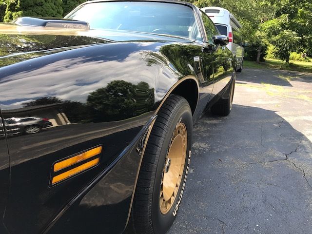 1981 Pontiac Trans Am SE - photo 4