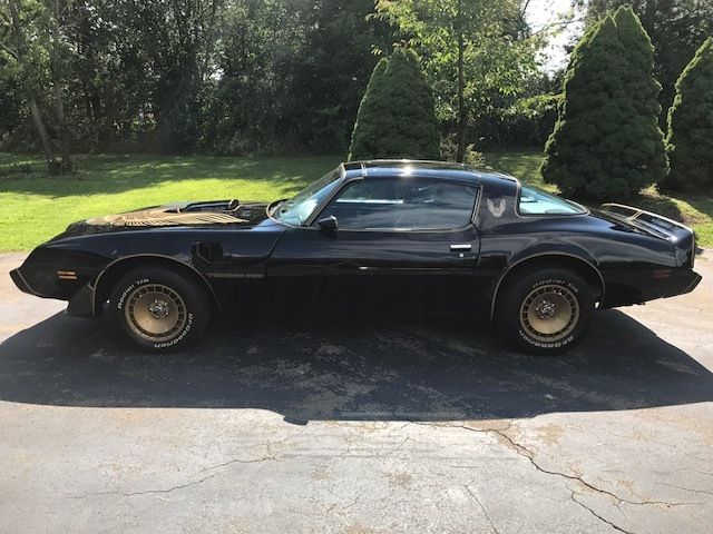 1981 Pontiac Trans Am SE - photo 5