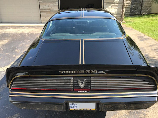 1981 Pontiac Trans Am SE - photo 7