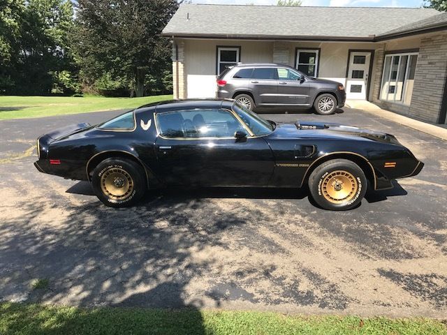 1981 Pontiac Trans Am SE - photo 8
