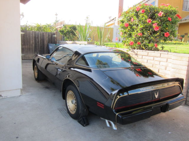1981 Pontiac Firebird Trans Am SE Turbo - photo 4