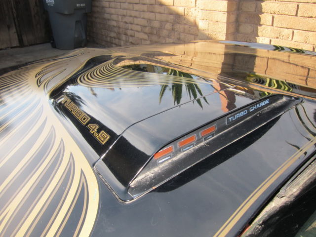 1981 Pontiac Firebird Trans Am SE Turbo - photo 5