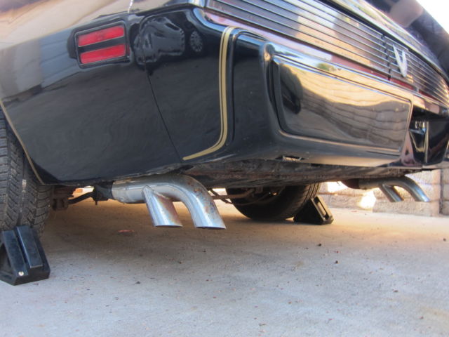 1981 Pontiac Firebird Trans Am SE Turbo - photo 9