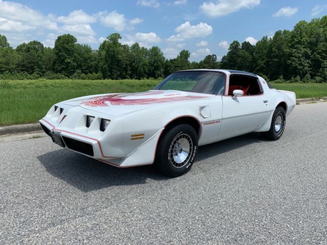 1981 Pontiac Firebird Trans Am T-Top WS-6 1981 Pontiac Trans Am Turbo