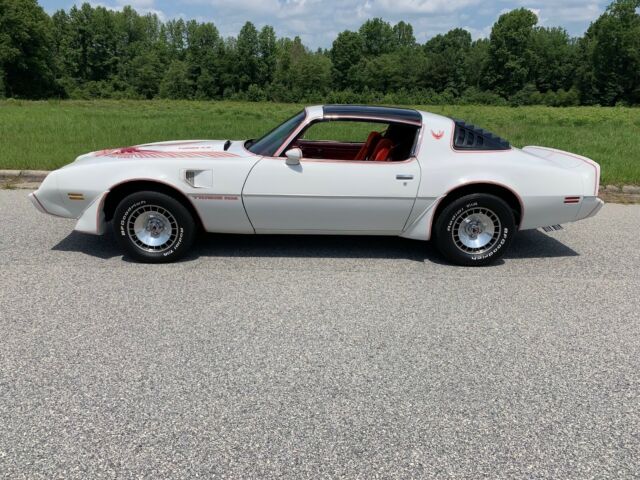 1981 Pontiac Trans Am Turbo - photo 2