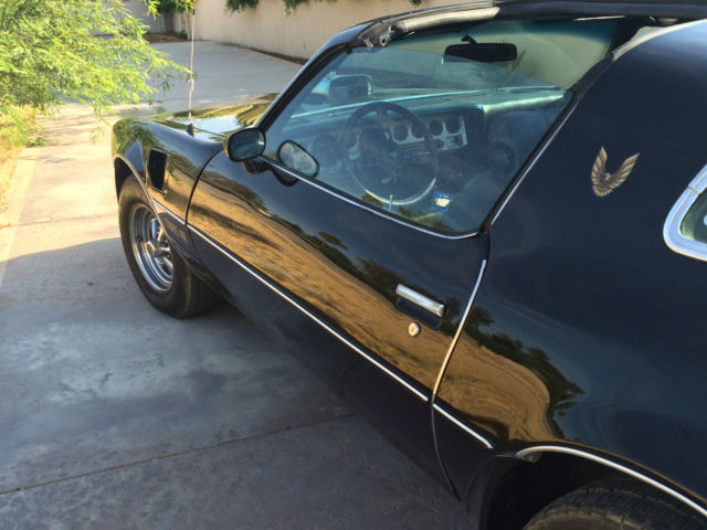 1981 Pontiac Firebird TRANS AM - photo 5
