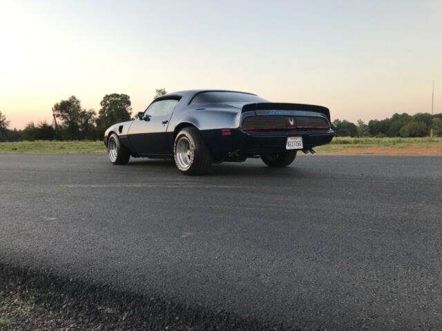 1981 Pontiac Trans Am - photo 3