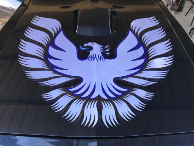 1981 Pontiac Trans Am - photo 9