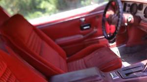 1981 Pontiac Firebird - photo 2