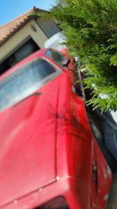 1981 Pontiac Firebird - photo 3