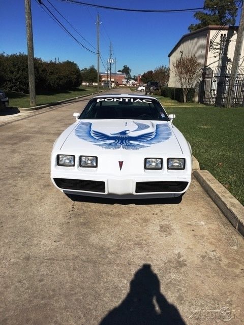 1981 Pontiac Firebird Trans Am - photo 3