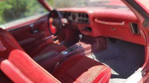 1981 Pontiac Firebird - photo 5