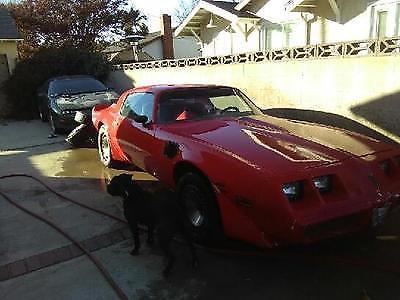1981 Pontiac Firebird - photo 6