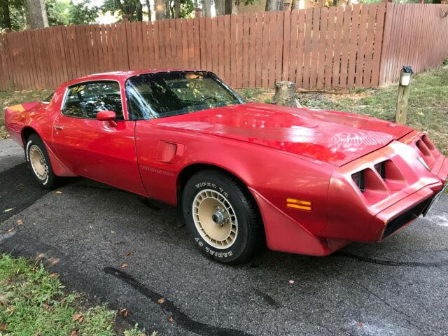 1981 Pontiac Firebird Trans Am Turbo, ALL ORIGINAL BARN FIND all original paint! 1981 Pontiac Trans Am Turbo