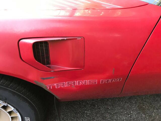 1981 Pontiac Trans Am Turbo - photo 3