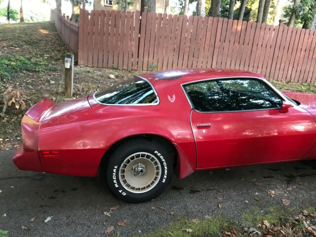 1981 Pontiac Trans Am Turbo - photo 4