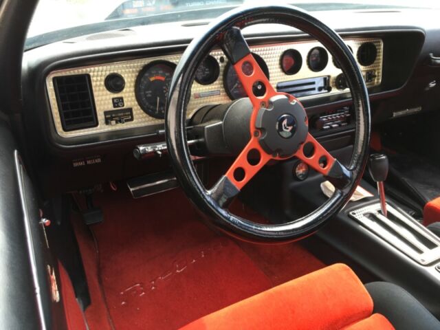 1981 Pontiac Trans Am Pace Car Edition - photo 13