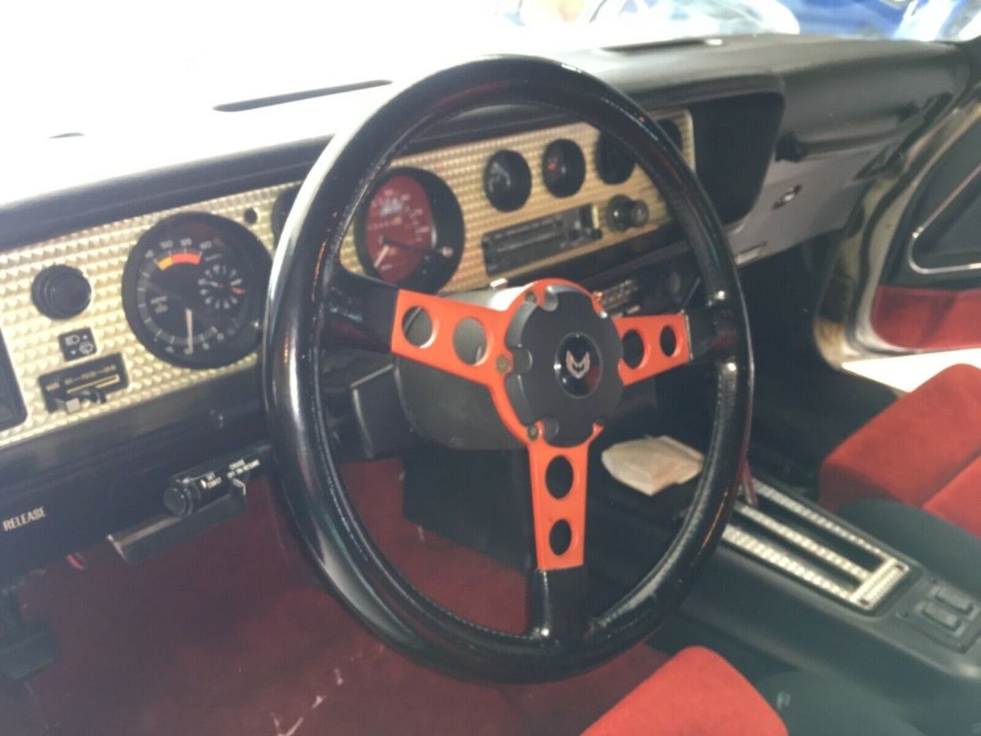 1981 Pontiac Trans Am Pace Car Edition - photo 4
