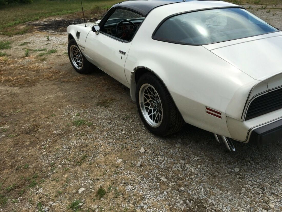 1981 Pontiac Trans Am Pace Car Edition - photo 8