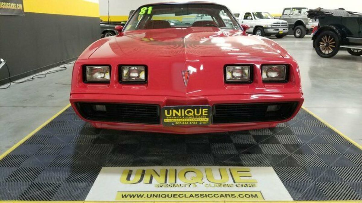 1981 Pontiac Firebird Trans Am Turbo - photo 2