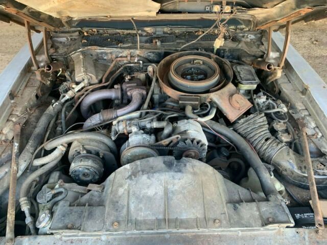 1981 Pontiac Trans Am - photo 10