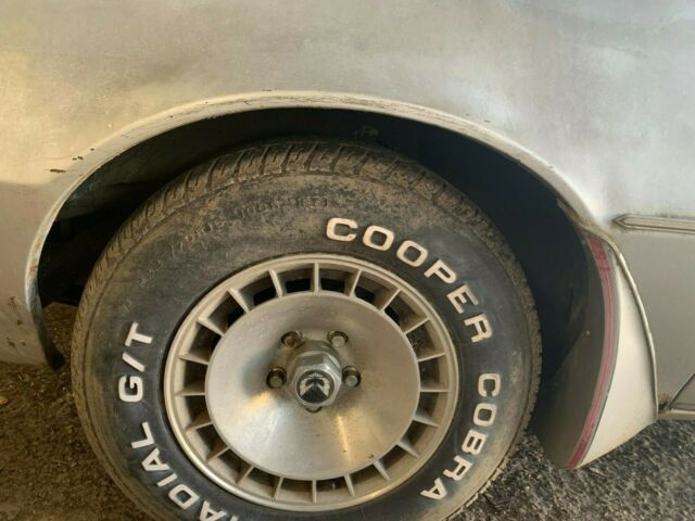 1981 Pontiac Trans Am - photo 5