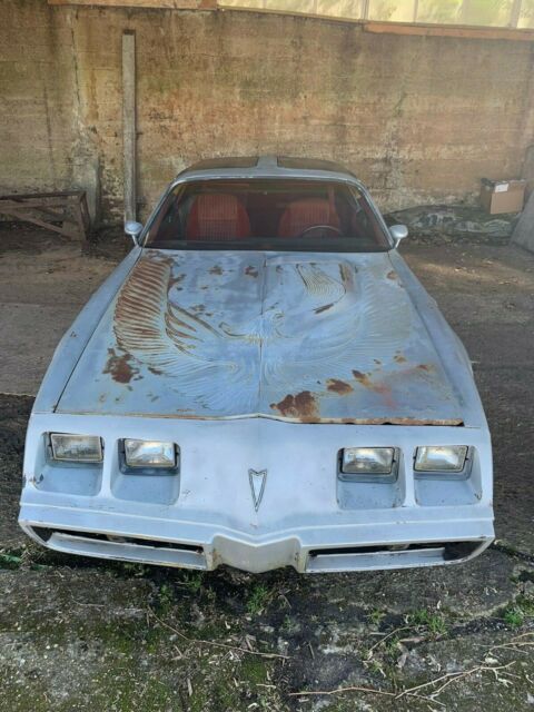 1981 Pontiac Trans Am - photo 8
