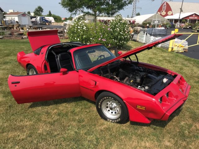 1981 Pontiac Trans Am T Tops - photo 11