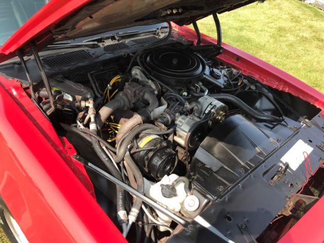 1981 Pontiac Trans Am T Tops - photo 9