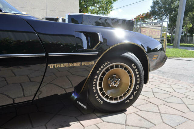 1981 Pontiac Trans Am - photo 12