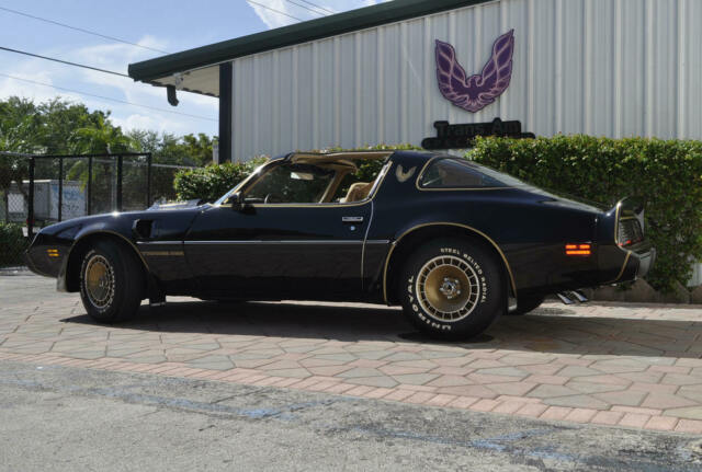 1981 Pontiac Trans Am - photo 4