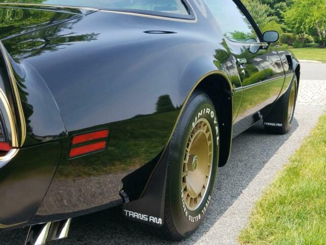 1981 Pontiac Trans Am - photo 5