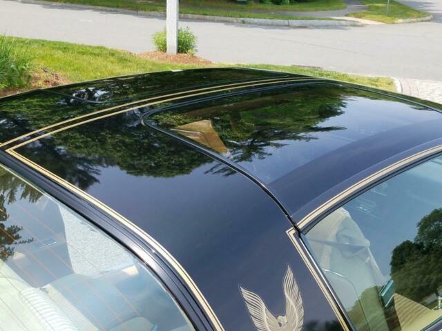 1981 Pontiac Trans Am - photo 7