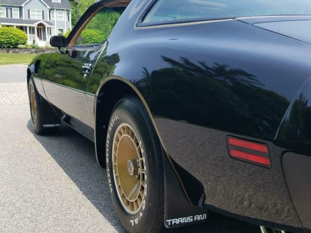 1981 Pontiac Trans Am - photo 8