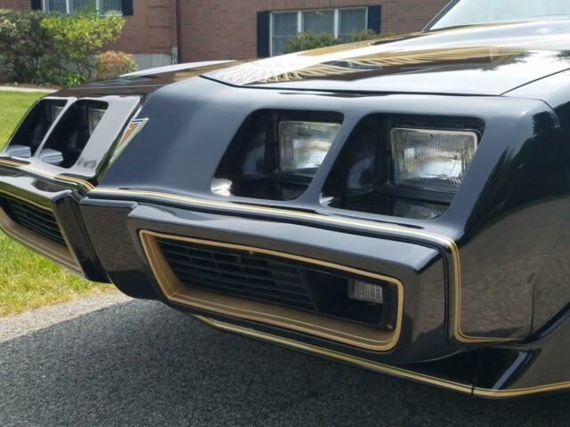 1981 Pontiac Trans Am - photo 9