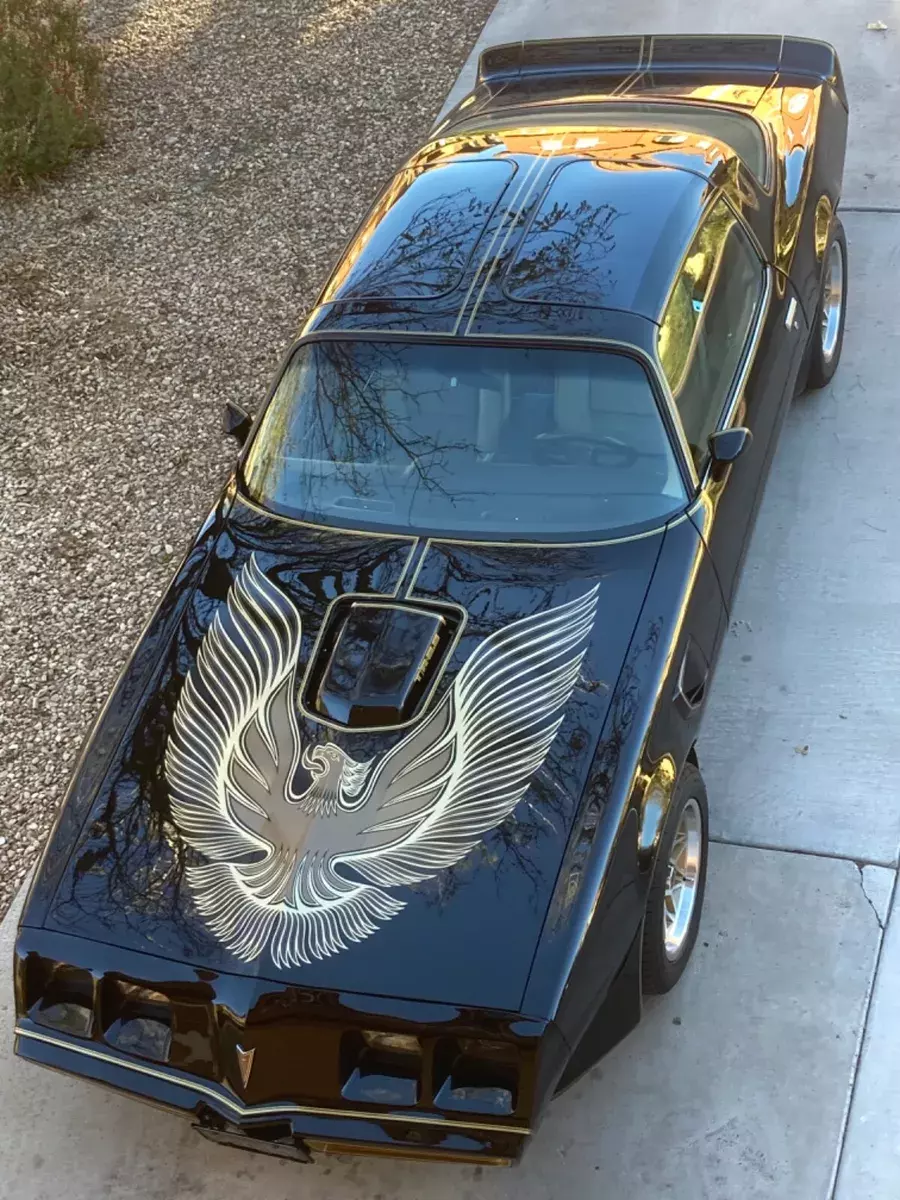 1981 Pontiac Trans Am
